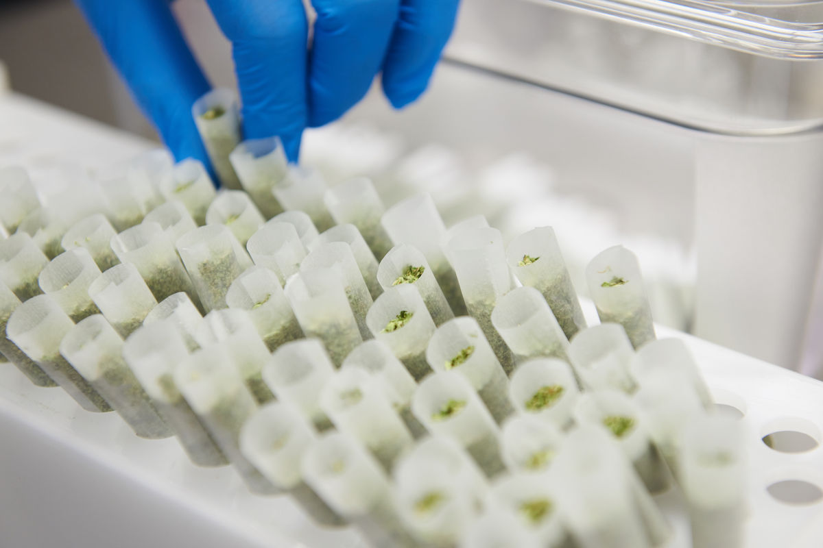 CannaBri cannabis pre-roll production facility